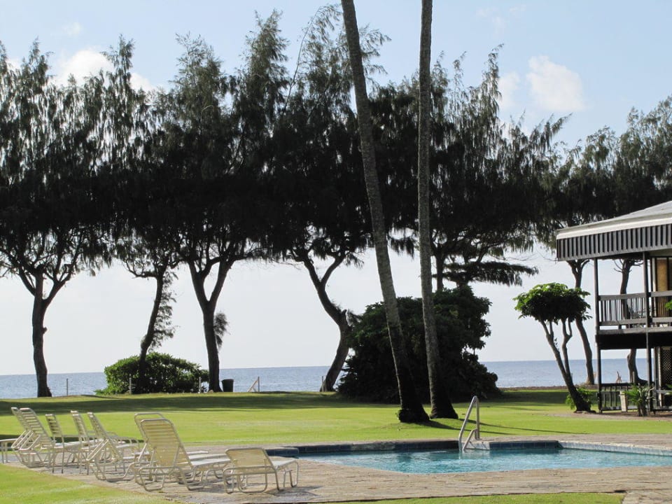 Pool I Kauai Shores Hotel