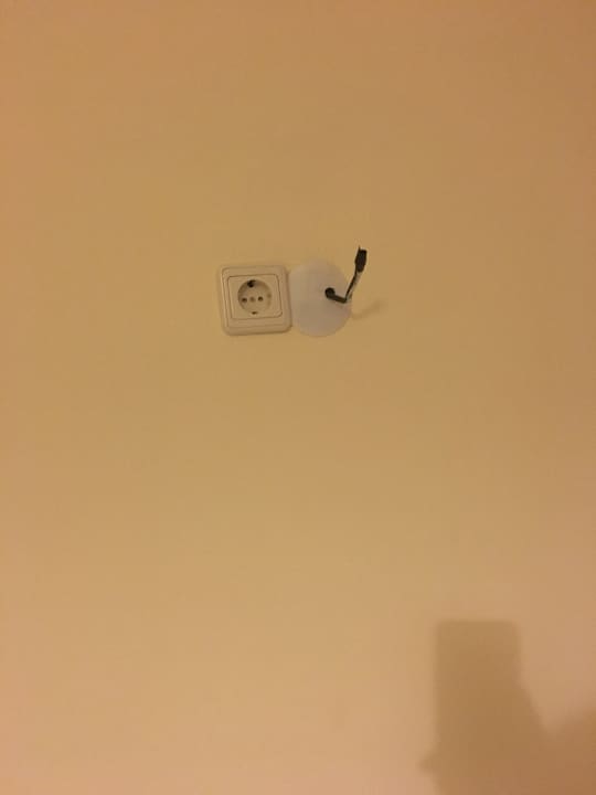 Zimmer Hotel Catty Cats Garden