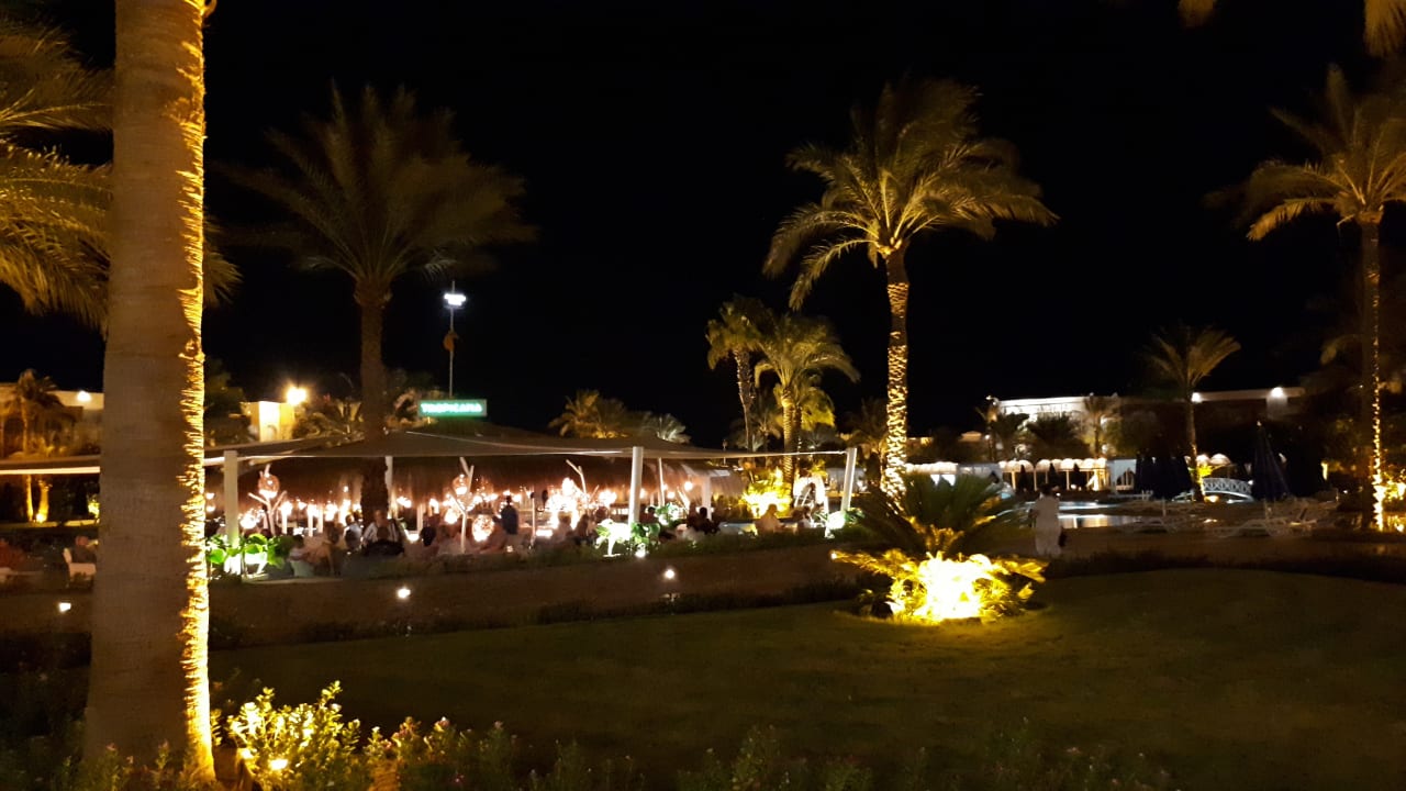 Gartenanlage Desert Rose