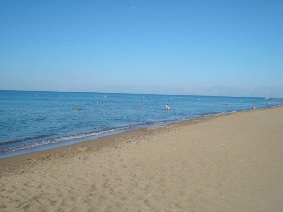Strand am Morgen... Papillon Belvil