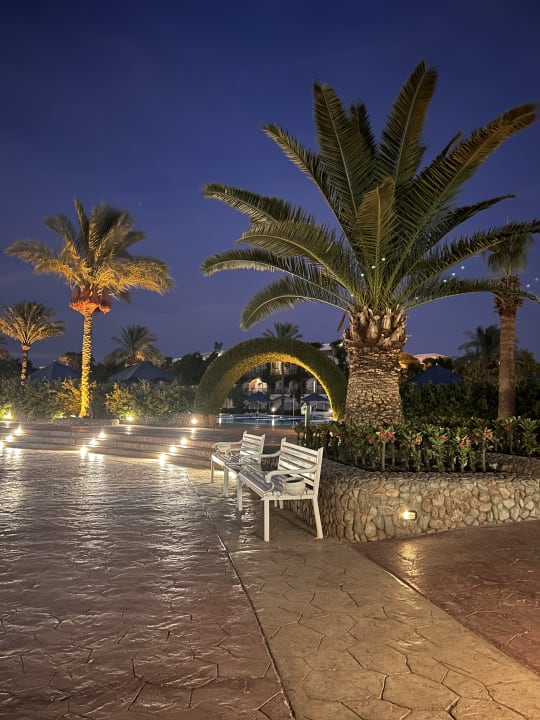 Gartenanlage Desert Rose