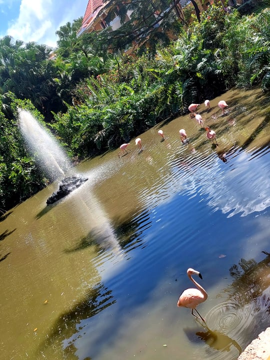 Sonstiges Hotel Viva Dominicus Beach by Wyndham - All Inclusive Resort