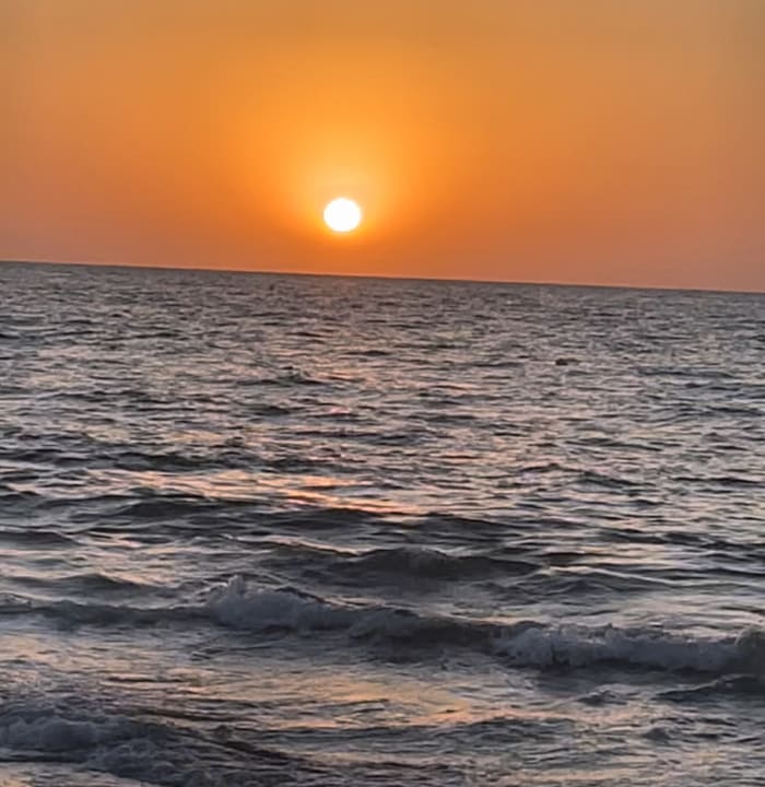 Ausblick Vincci Helios Beach