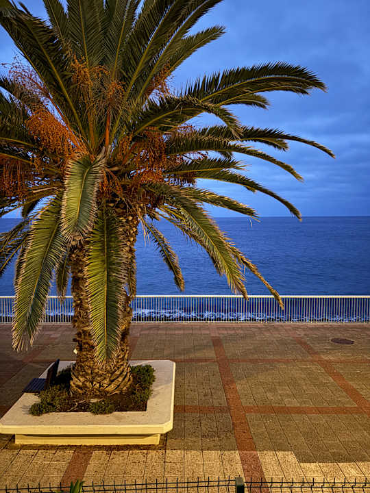 Ausblick Hotel Riu Madeira