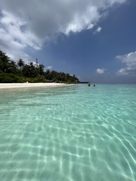 Strand Fihalhohi Maldives