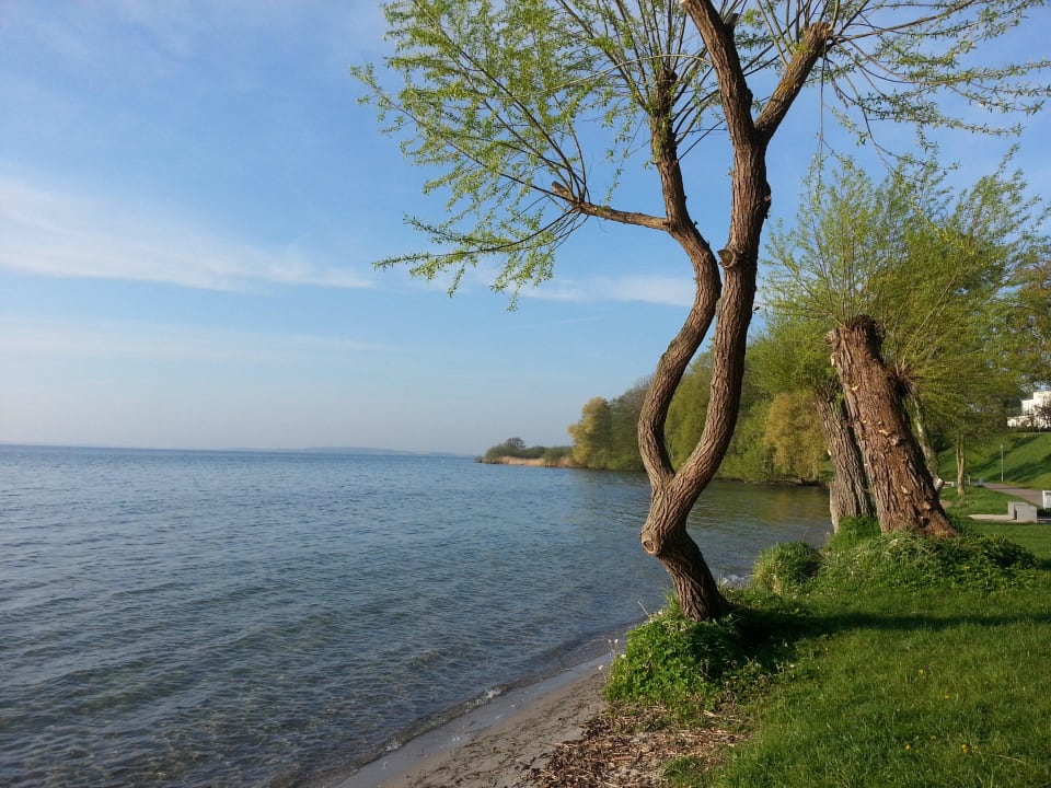 Müritz Richtung Sietow Seehotel Schloss Klink