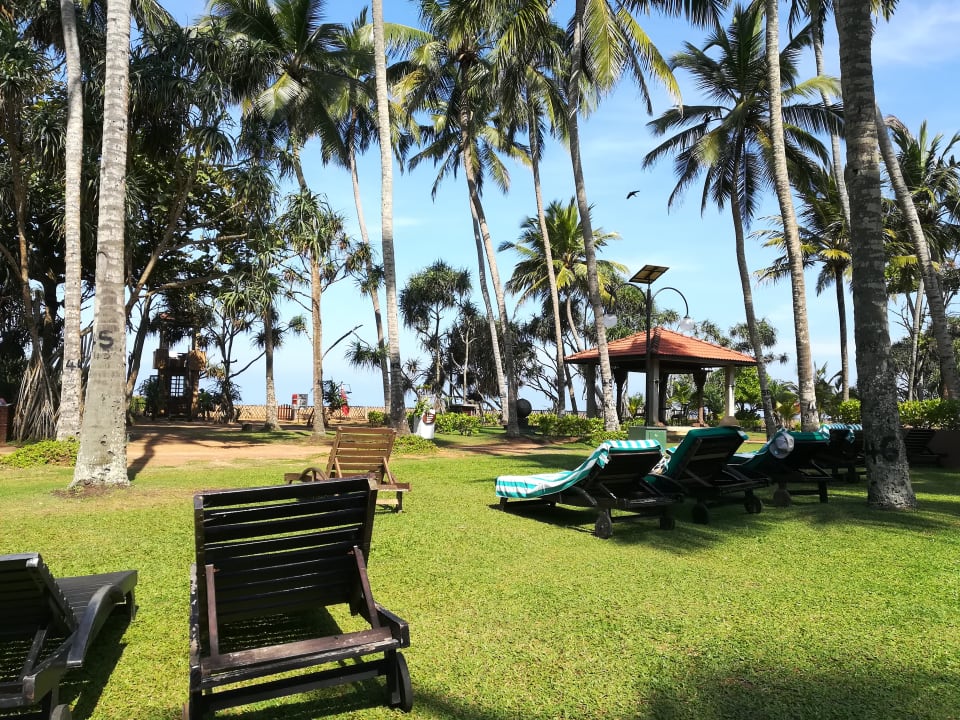 Gartenanlage Royal Palms Beach Hotel