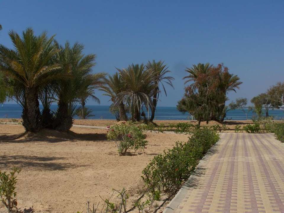 Weg zum Strand Hotel El Mouradi Djerba Menzel