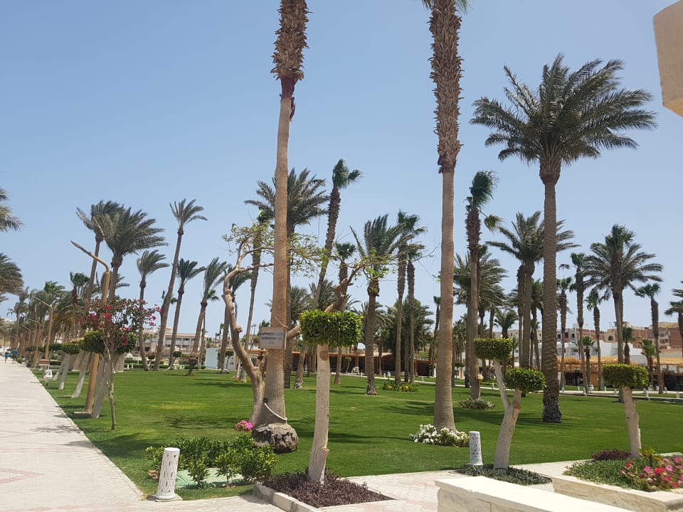 Gartenanlage Meraki Resort (Adults Only)