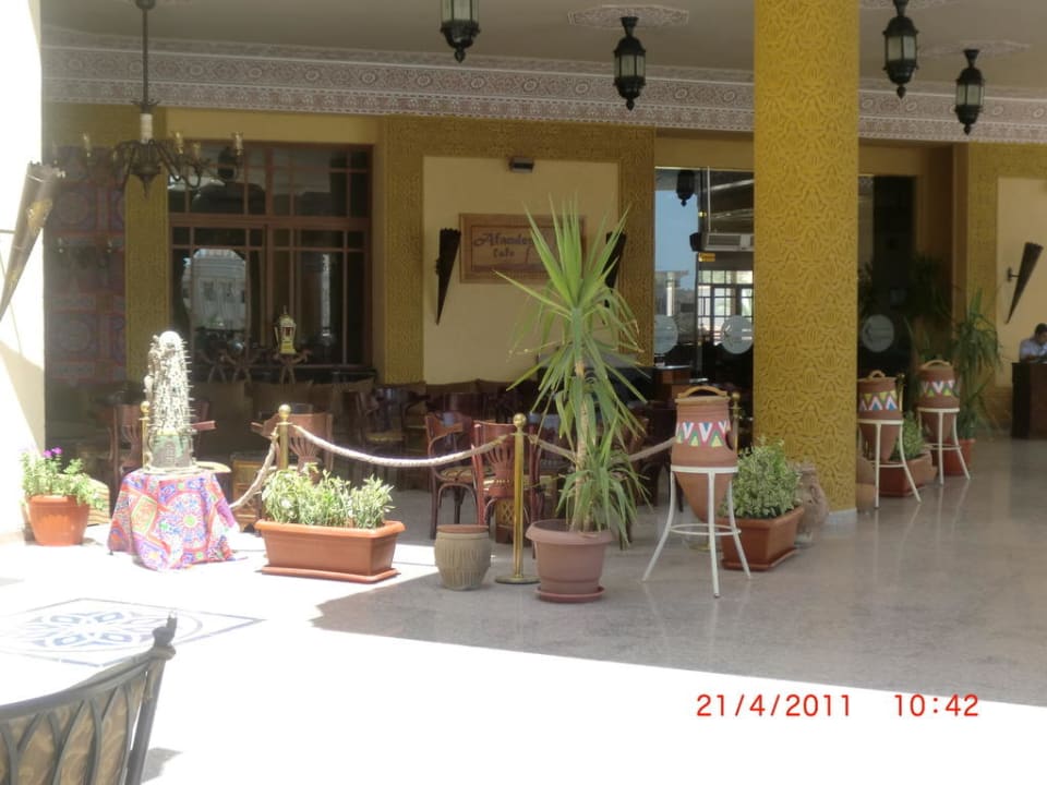Terrasse Pickalbatros Palace Resort
