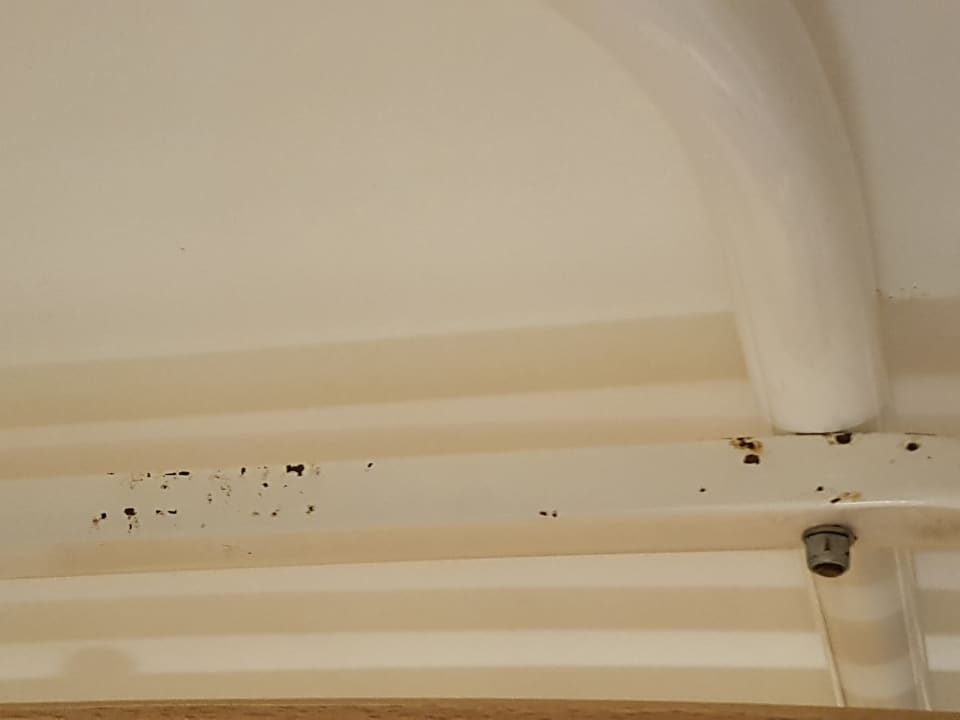 Zimmer Hotel Miramare