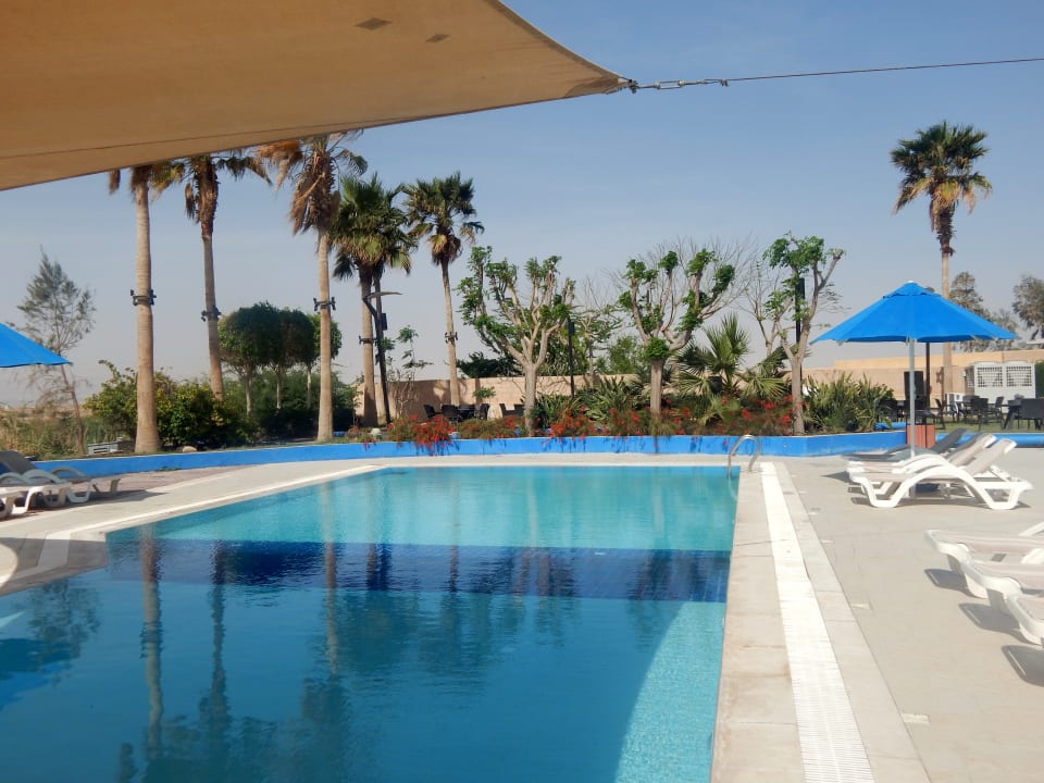 Pool Ramada Resort Dead Sea