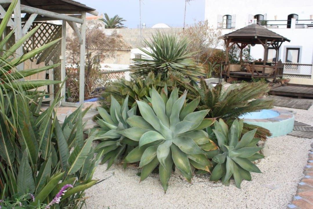 Dachterrasse Hotel Silos Arte y Relax