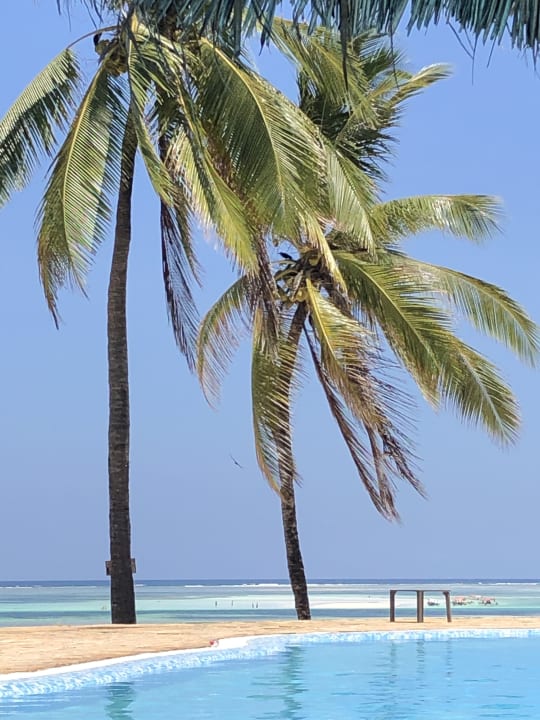 Ausblick Karafuu Beach Resort & Spa