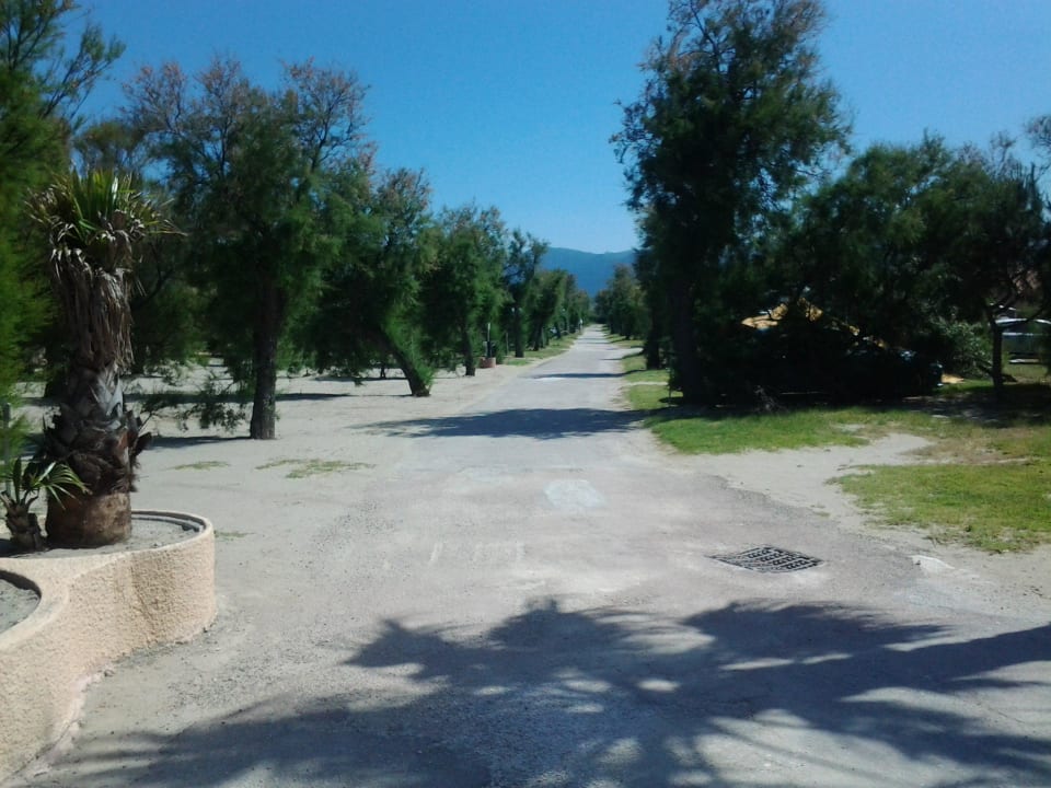 Weg in der Anlage Hotel Cala Gogo