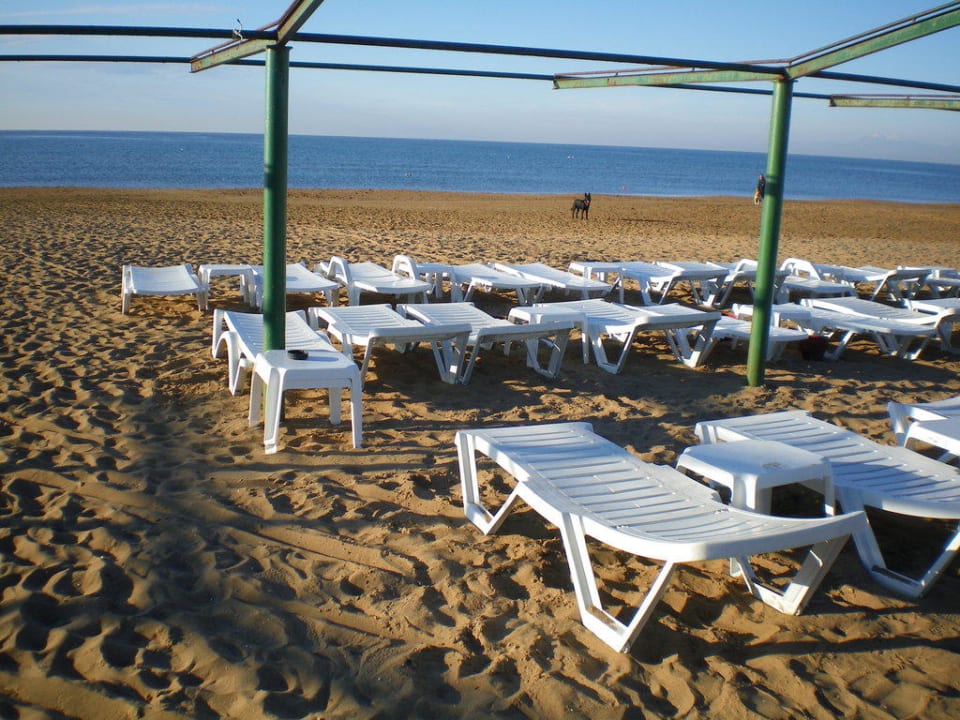 Sonne pur Hotel Sultan of Side