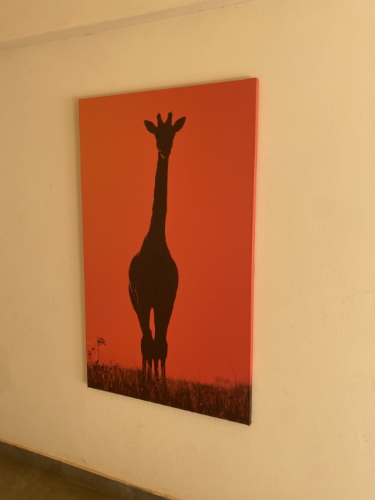 Sonstiges Hotel Riu Baobab