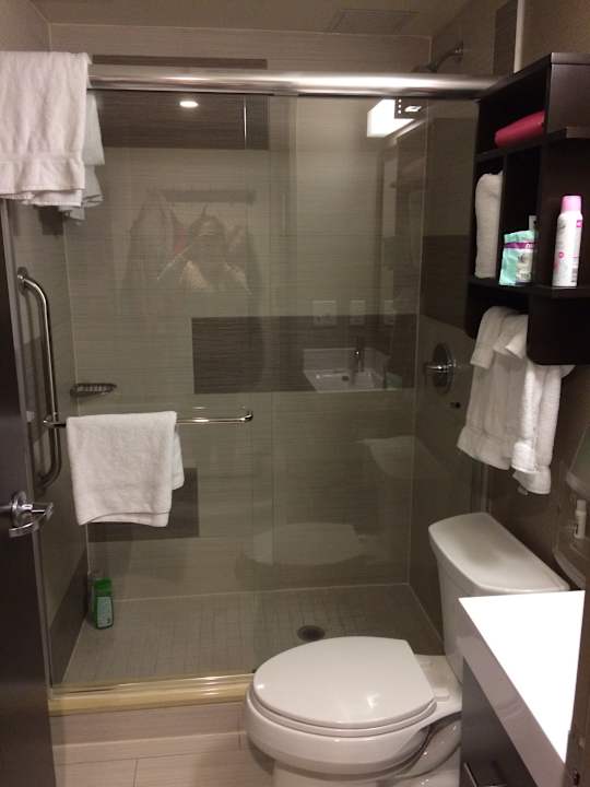 Kleines Bad  Holiday Inn Manhattan-Financial District