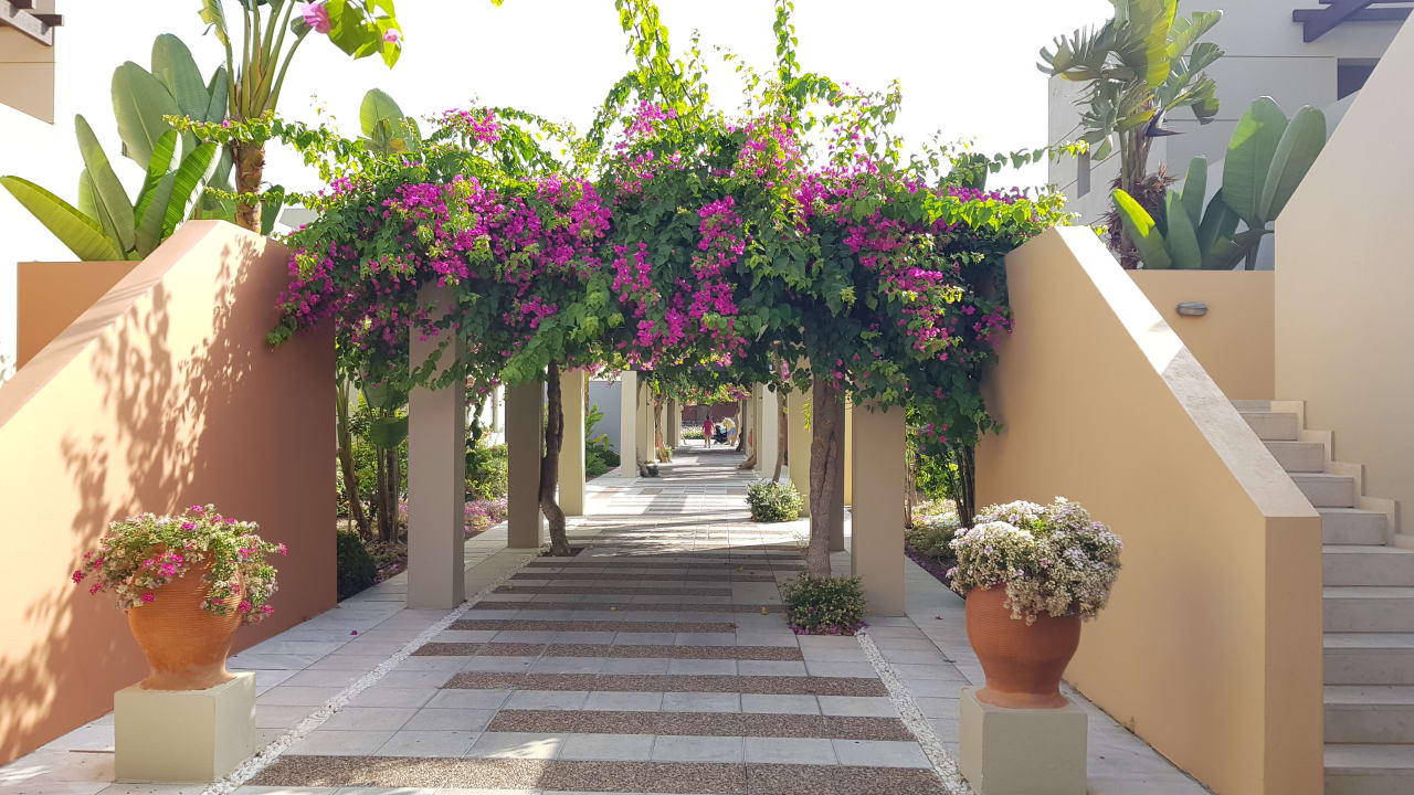 Sonstiges Astir Odysseus Kos Resort & Spa