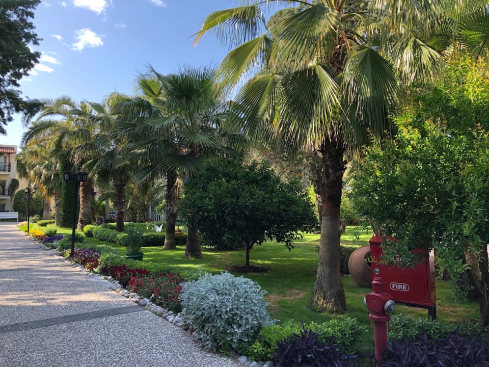 Gartenanlage Paloma Oceana