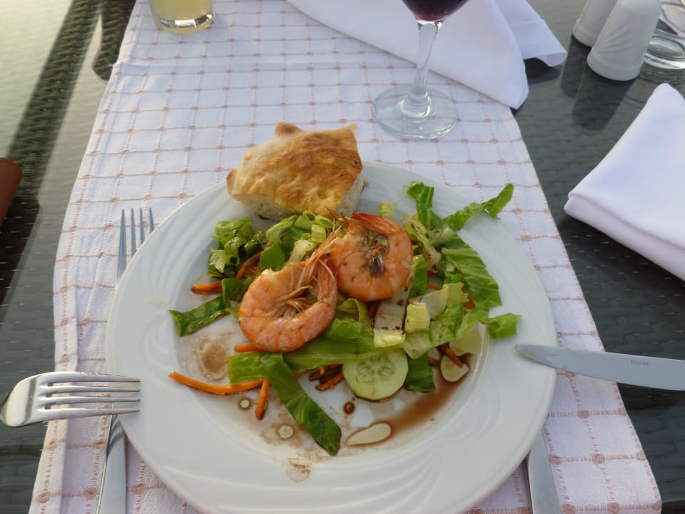 Lecker Paloma Oceana