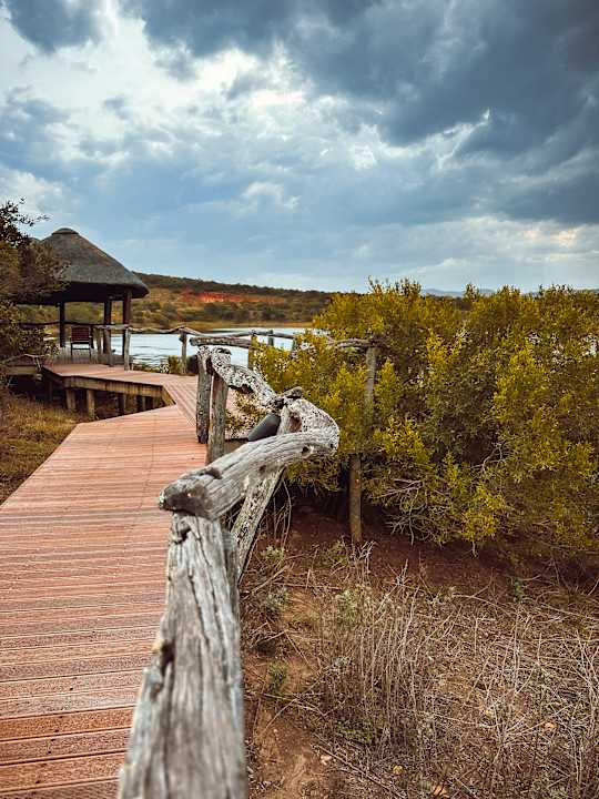 Außenansicht Hotel Pumba Private Game Reserve