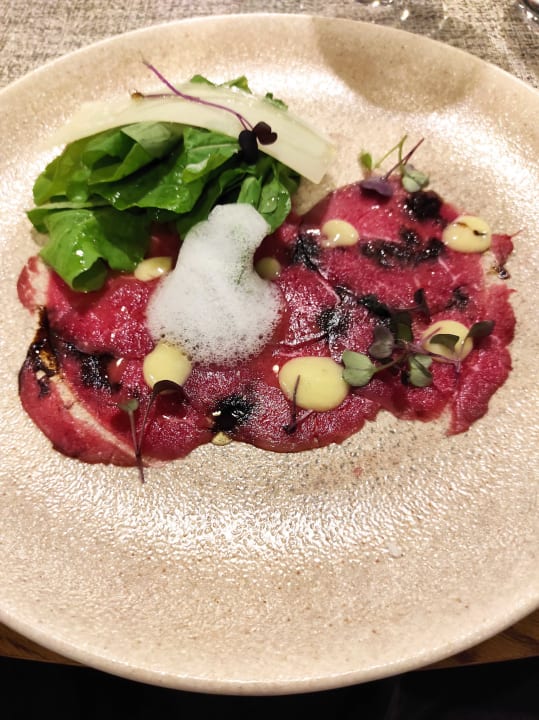 Gastro Acanthus Cennet Barut Collection