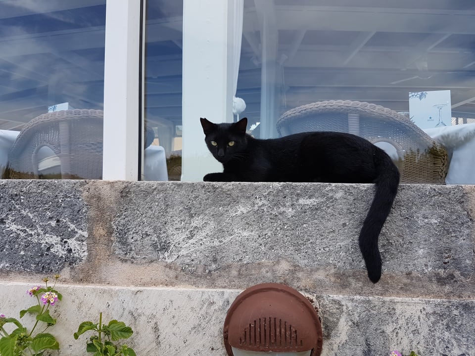 Gartenanlage Iberostar Selection Albufera Park