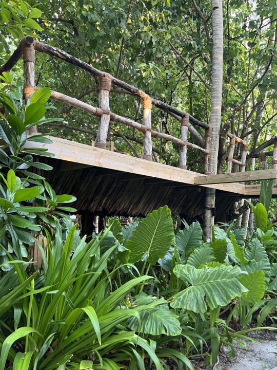 Gartenanlage Villa Park Sun Island