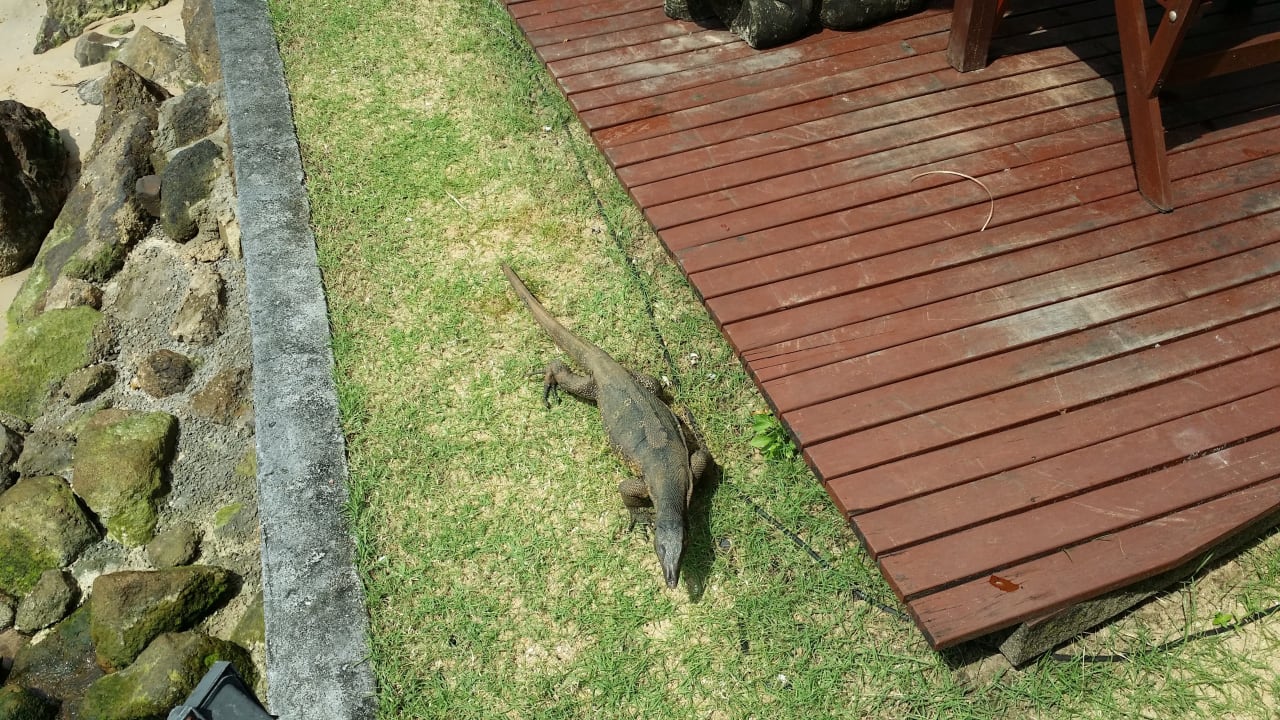 Das Hotel Haustier Khaolak Laguna Resort