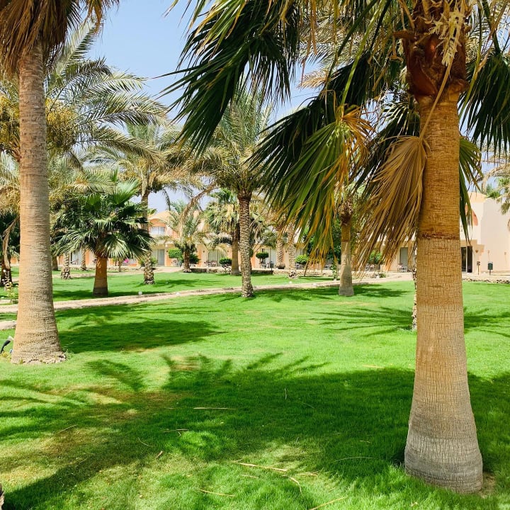 Gartenanlage Three Corners Sea Beach Resort