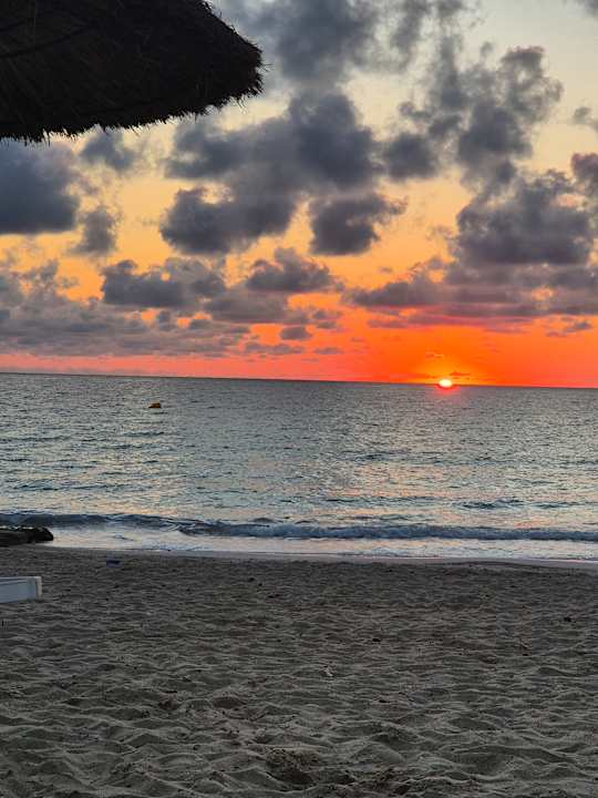 Strand allsun Hotel Borneo - Adults only