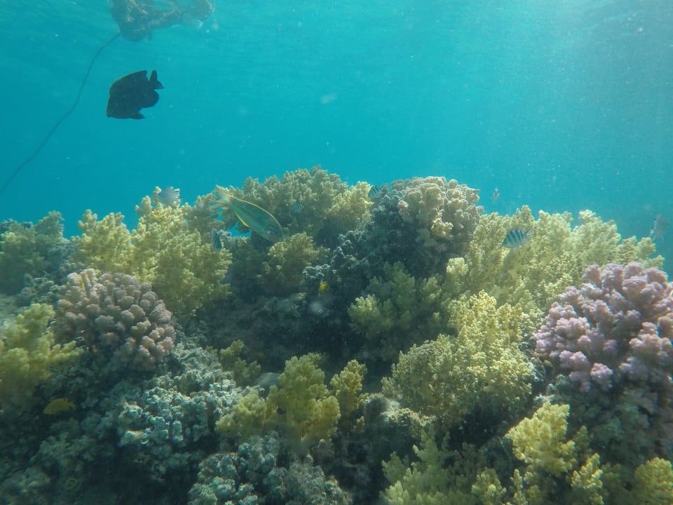 Sport & Freizeit Hotel Mercure Hurghada