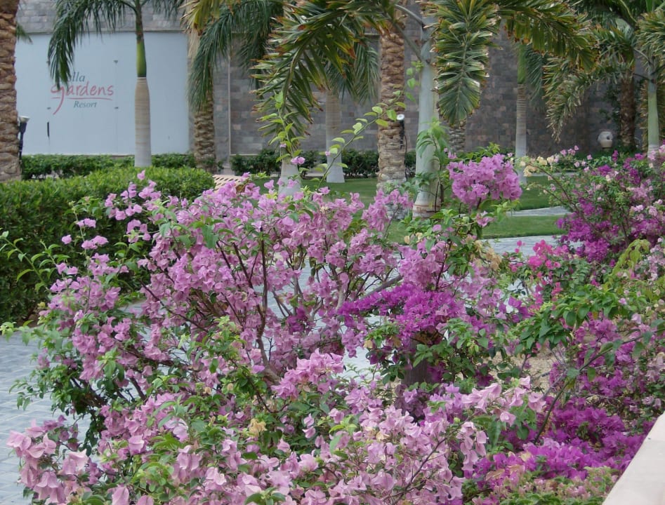 !!! Stella Garden Resort & Spa, Makadi Bay