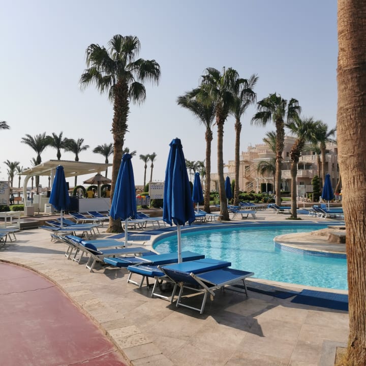 Pool Pickalbatros Palace Resort
