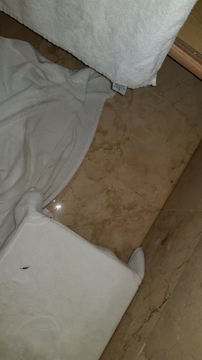 Zimmer Hotel Grand Palladium Palace Resort, Spa & Casino