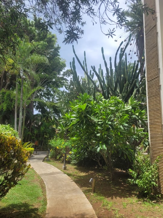 Gartenanlage Lagoon Attitude - Adults only