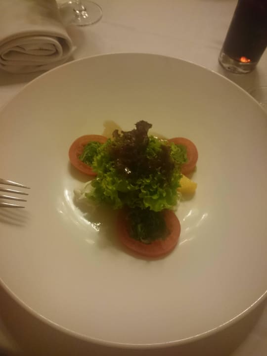 Don Pablo Bahia Principe Grand Aquamarine