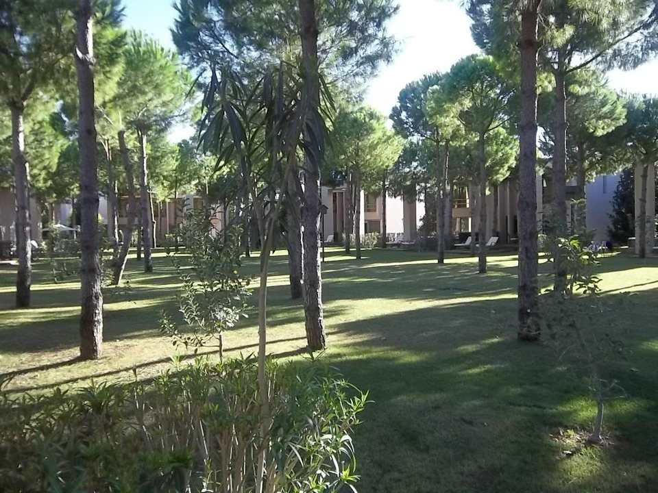 Blick in den Garten Gloria Serenity Resort