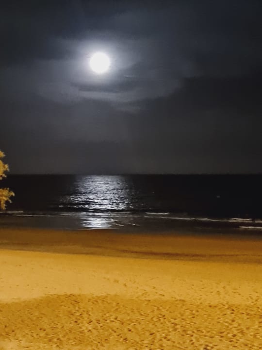 Strand Hotel Caserio