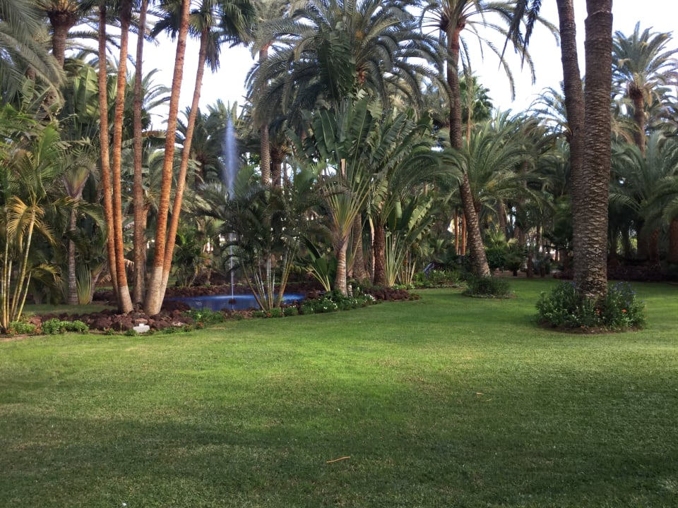 Gartenanlage Hotel Riu Palace Oasis