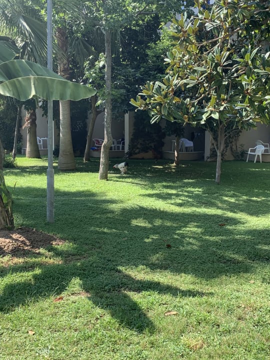 Ausblick Labranda Alantur Resort