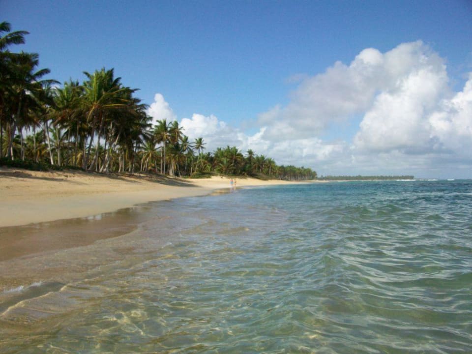 Strand  Grand Sirenis Punta Cana Resort & Aquagames