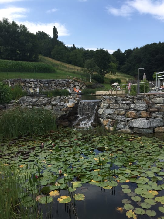 Gartenanlage Heilthermen Resort Bad Waltersdorf