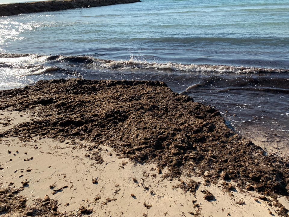 Strand Club Palm Azur