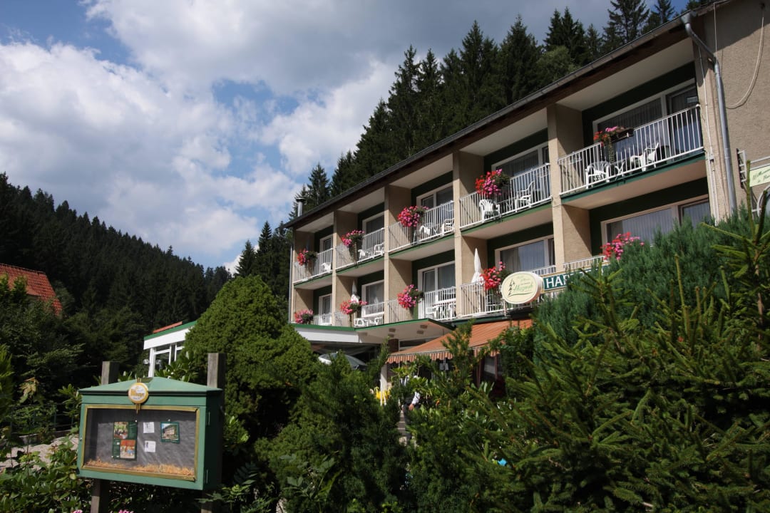 Pension Harzperle Pension Harzperle