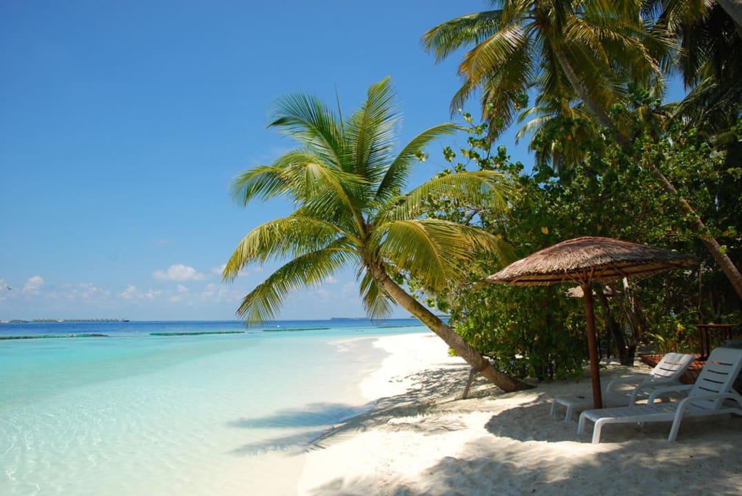 Strandabschnitt Riffseite Sun Siyam Vilu Reef