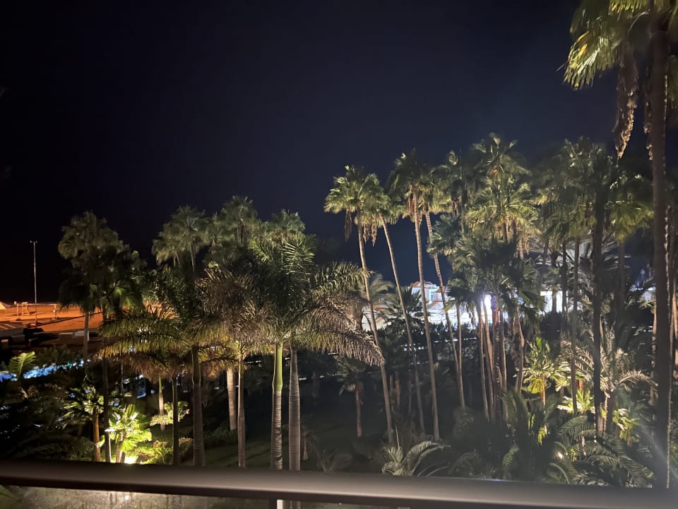 Ausblick Hotel Riu Palace Oasis