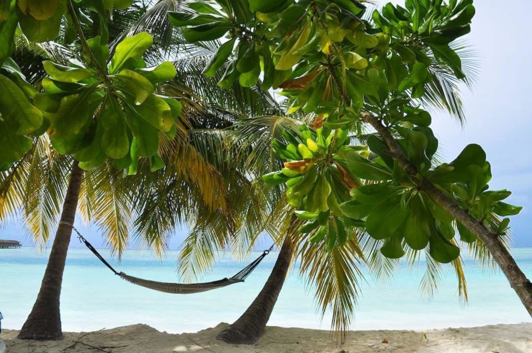Strand! Meeru Maldives Resort Island