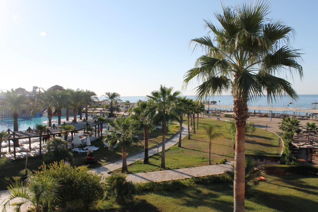 Pool und Strand TUI BLUE Palm Garden